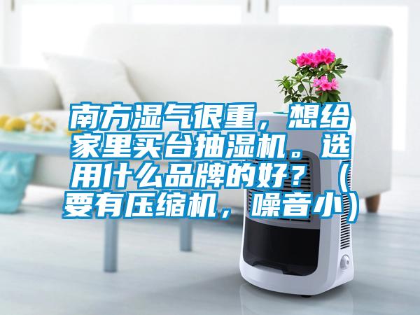 南方湿气很重，想给家里买台抽湿机。选用什么品牌的好？（要有压缩机，噪音小）