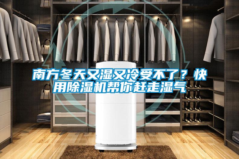 南方冬天又湿又冷受不了？快用精品一区二区三区水蜜桃帮你赶走湿气