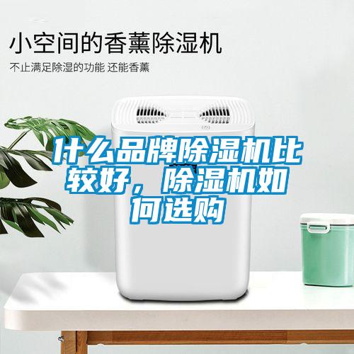 什么品牌精品一区二区三区水蜜桃比较好，精品一区二区三区水蜜桃如何选购