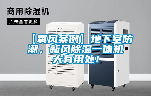 【氧风案例】地下室防潮，新风除湿一体机大有用处！