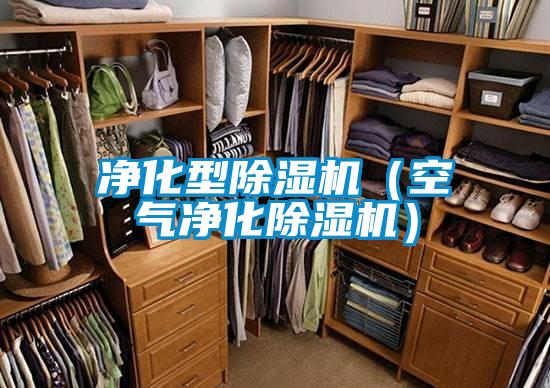 净化型精品一区二区三区水蜜桃（空气净化精品一区二区三区水蜜桃）