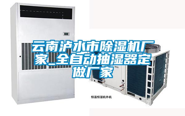 云南泸水市精品一区二区三区水蜜桃厂家_全自动抽湿器定做厂家