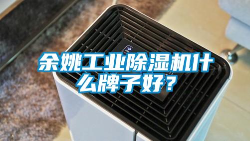 余姚工业精品一区二区三区水蜜桃什么牌子好？