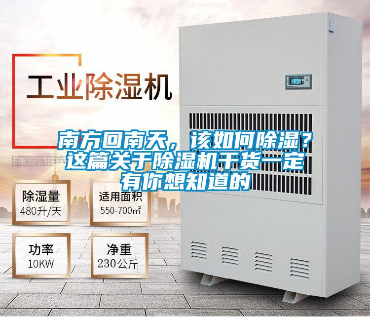 南方回南天，该如何除湿？这篇关于精品一区二区三区水蜜桃干货一定有你想知道的