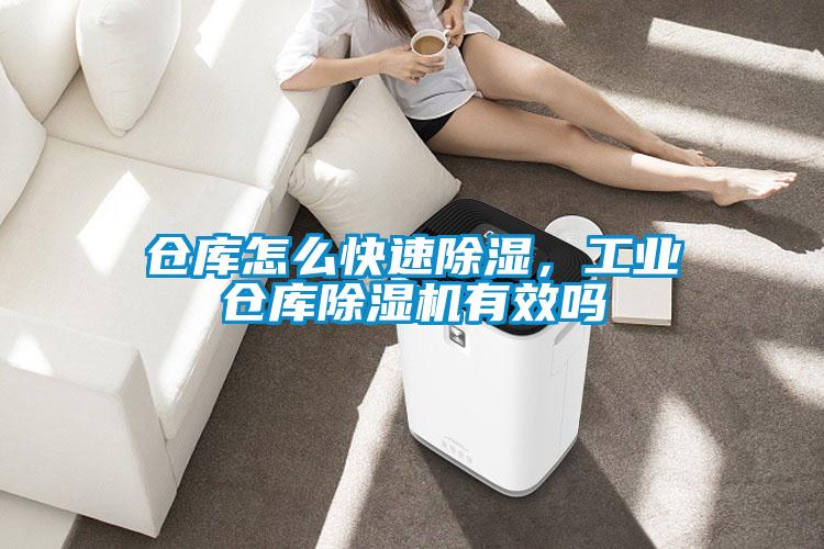 仓库怎么快速除湿，工业仓库精品一区二区三区水蜜桃有效吗