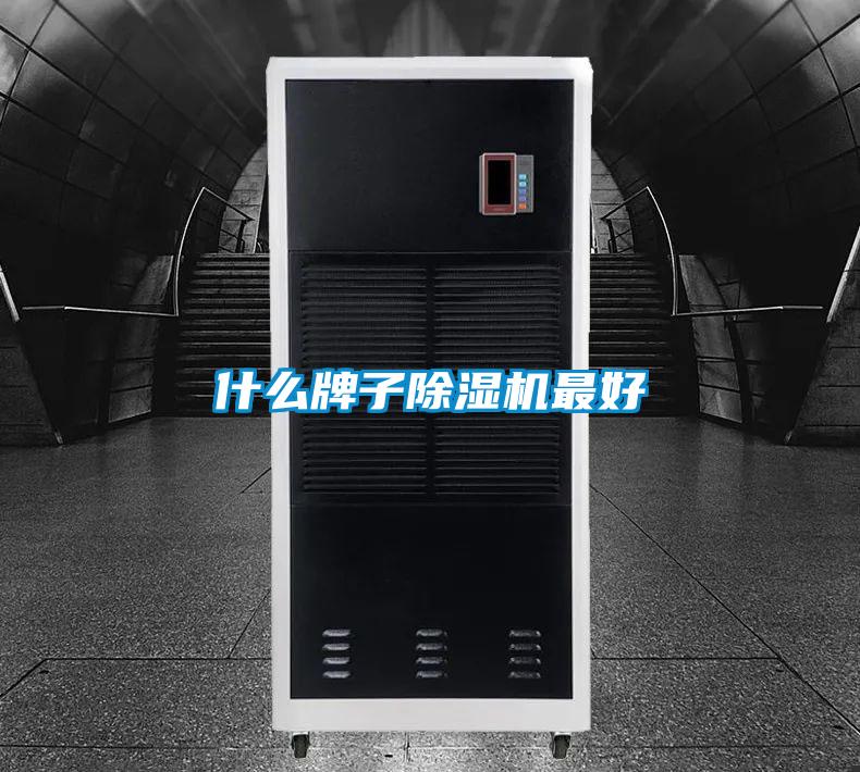 什么牌子精品一区二区三区水蜜桃最好