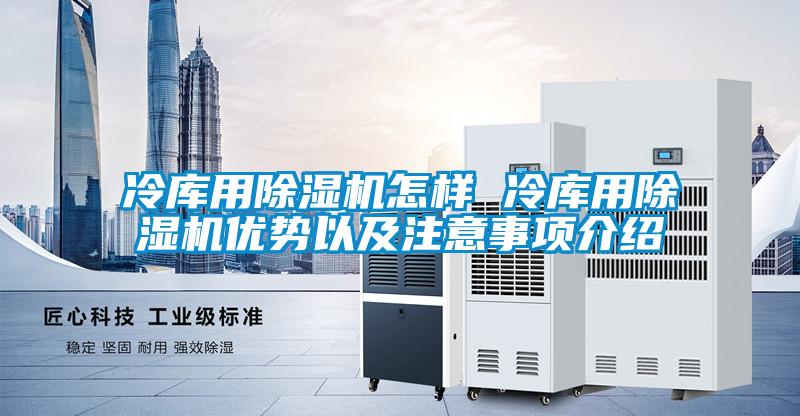 冷库用精品一区二区三区水蜜桃怎样 冷库用精品一区二区三区水蜜桃优势以及注意事项介绍