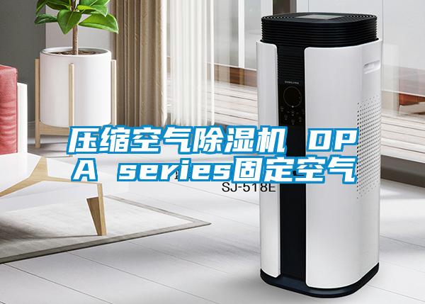 压缩空气精品一区二区三区水蜜桃 DPA series固定空气