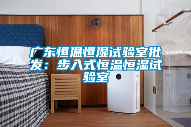 广东恒温恒湿试验室批发：步入式恒温恒湿试验室