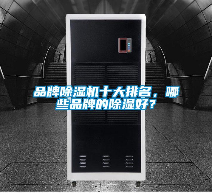 品牌精品一区二区三区水蜜桃十大排名，哪些品牌的除湿好？