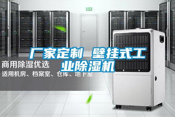 厂家定制 壁挂式工业精品一区二区三区水蜜桃