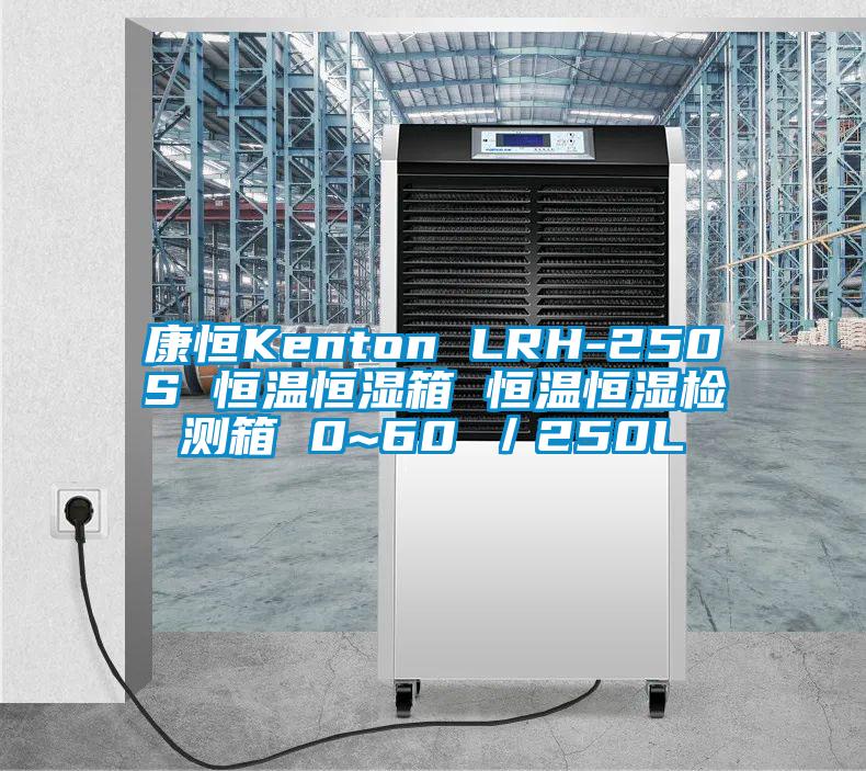 康恒Kenton LRH-250S 恒温恒湿箱 恒温恒湿检测箱 0~60℃/250L