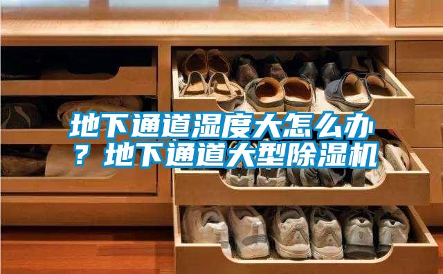 地下通道湿度大怎么办？地下通道大型精品一区二区三区水蜜桃