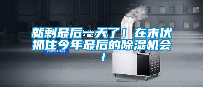 就剩最后一天了！在末伏抓住今年最后的精品一区二区三区水蜜桃会！