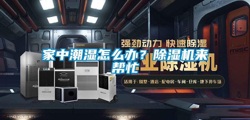 家中潮湿怎么办？精品一区二区三区水蜜桃来帮忙