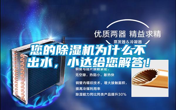 您的精品一区二区三区水蜜桃为什么不出水，小达给您解答！