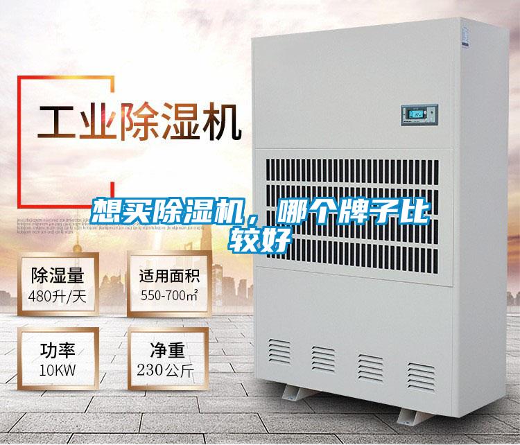 想买精品一区二区三区水蜜桃，哪个牌子比较好