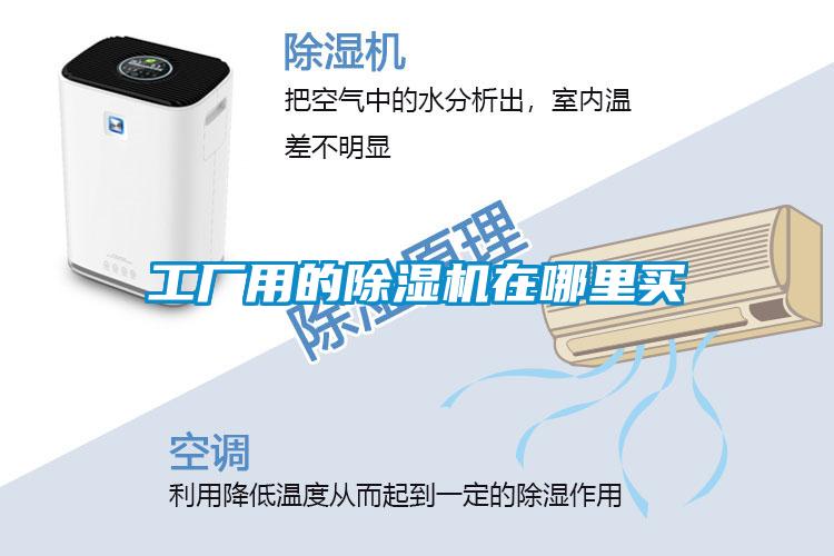 工厂用的精品一区二区三区水蜜桃在哪里买