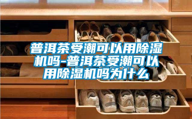 普洱茶受潮可以用精品一区二区三区水蜜桃吗-普洱茶受潮可以用精品一区二区三区水蜜桃吗为什么