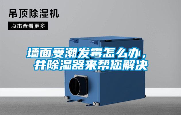 墙面受潮发霉怎么办，東井除湿器来帮您解决