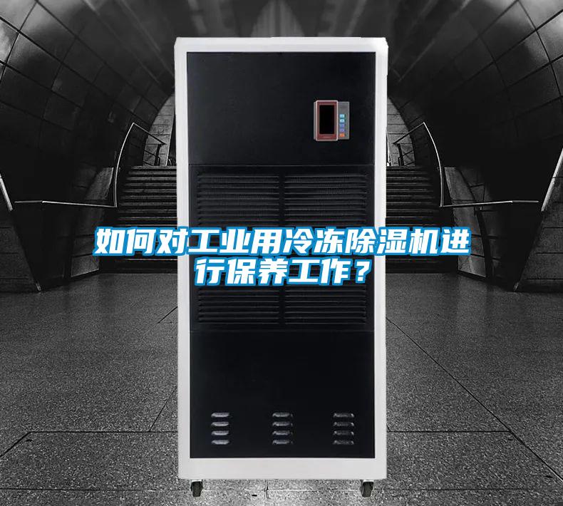 如何对工业用冷冻精品一区二区三区水蜜桃进行保养工作？