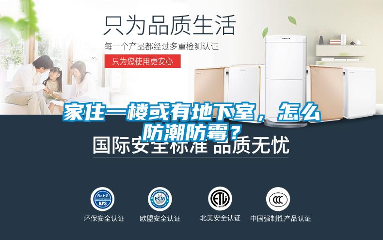 家住一楼或有地下室，怎么防潮防霉？