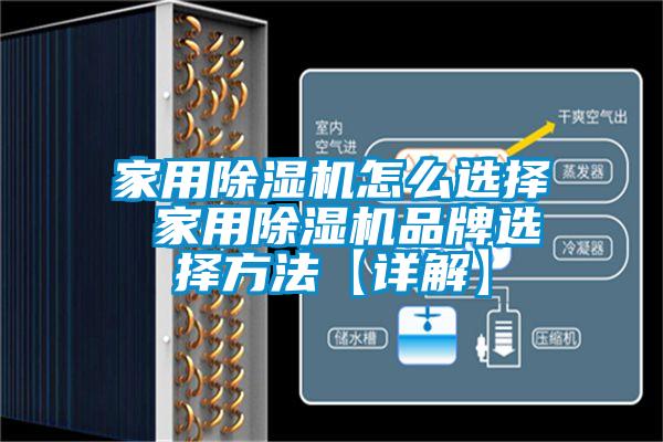 家用精品一区二区三区水蜜桃怎么选择 家用精品一区二区三区水蜜桃品牌选择方法【详解】