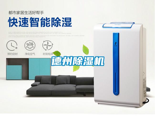 德州精品一区二区三区水蜜桃