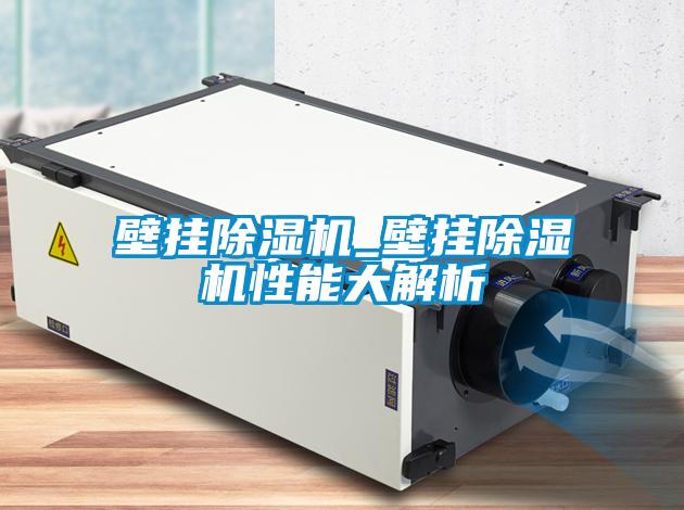 壁挂精品一区二区三区水蜜桃_壁挂精品一区二区三区水蜜桃性能大解析