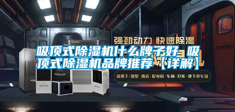 吸顶式精品一区二区三区水蜜桃什么牌子好 吸顶式精品一区二区三区水蜜桃品牌推荐【详解】