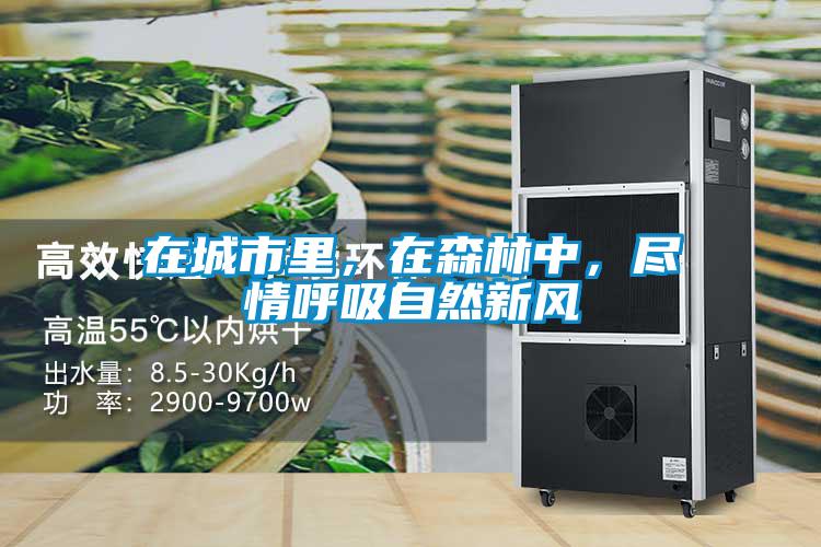 在城市里，在森林中，尽情呼吸自然新风