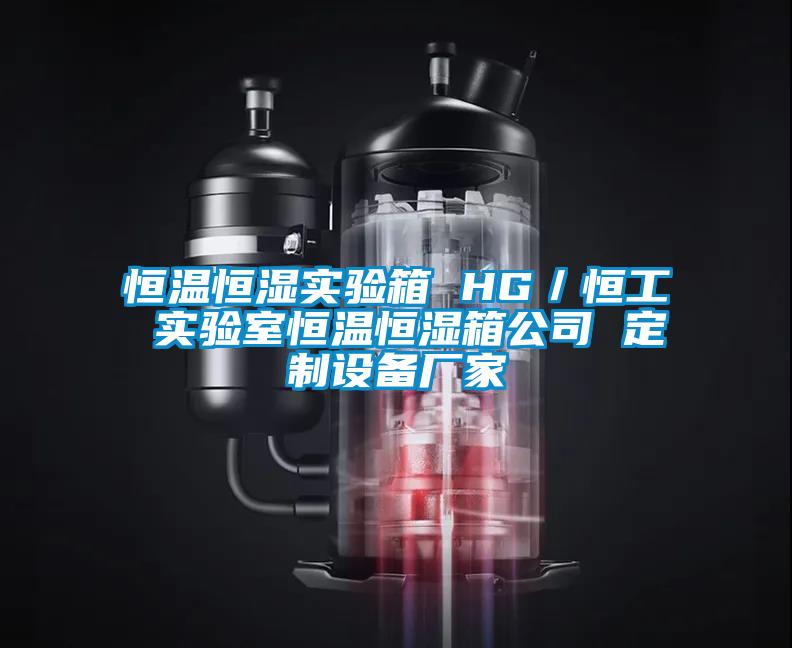 恒温恒湿实验箱 HG/恒工 实验室恒温恒湿箱公司 定制设备厂家