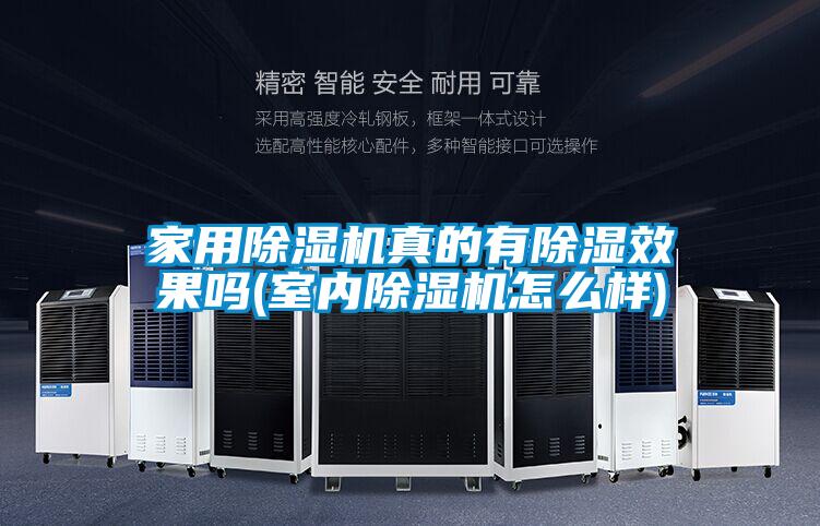 家用精品一区二区三区水蜜桃真的有除湿效果吗(室内精品一区二区三区水蜜桃怎么样)