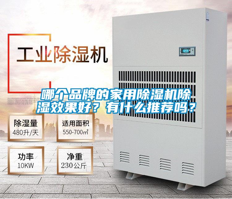 哪个品牌的家用精品一区二区三区水蜜桃除湿效果好？有什么推荐吗？