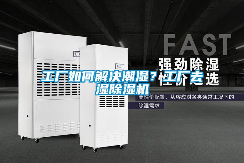 工厂如何解决潮湿？工厂去湿精品一区二区三区水蜜桃