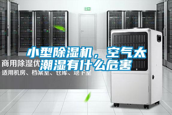 小型精品一区二区三区水蜜桃，空气太潮湿有什么危害