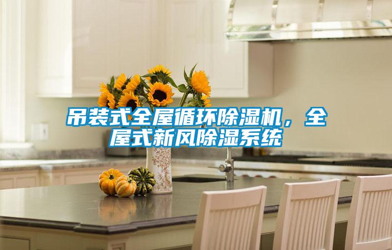 吊装式全屋循环精品一区二区三区水蜜桃，全屋式新风除湿系统