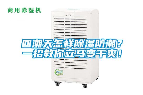 回潮天怎样除湿防潮？一招教你立马变干爽！