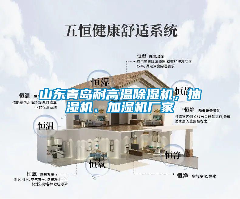 山东青岛耐高温精品一区二区三区水蜜桃，抽湿机、加湿机厂家