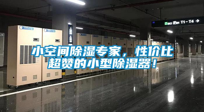 小空间除湿专家，性价比超赞的小型除湿器！