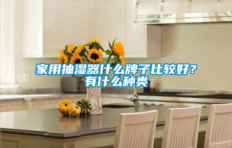 家用抽湿器什么牌子比较好？有什么种类