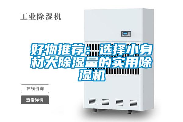 好物推荐：选择小身材大除湿量的实用精品一区二区三区水蜜桃