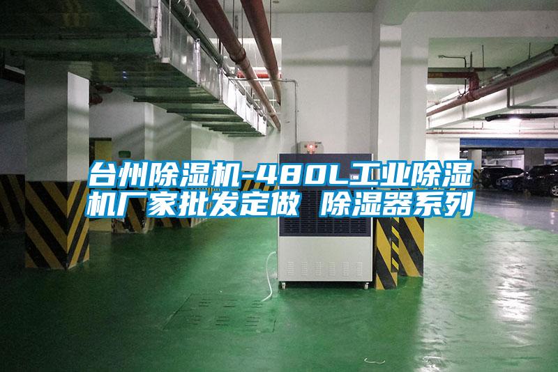 台州精品一区二区三区水蜜桃-480L工业精品一区二区三区水蜜桃厂家批发定做 除湿器系列