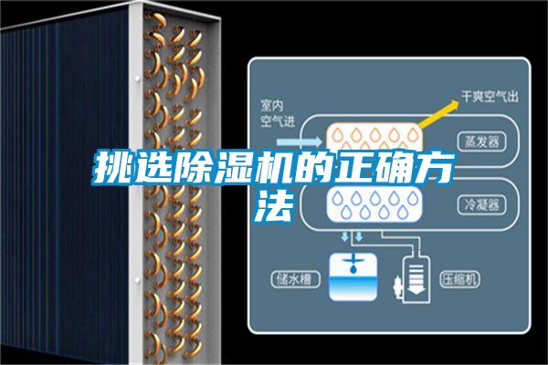 挑选精品一区二区三区水蜜桃的正确方法