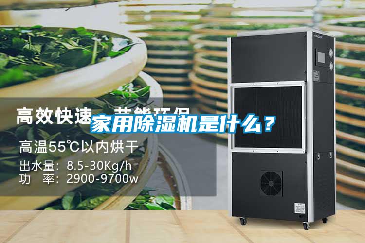 家用精品一区二区三区水蜜桃是什么？