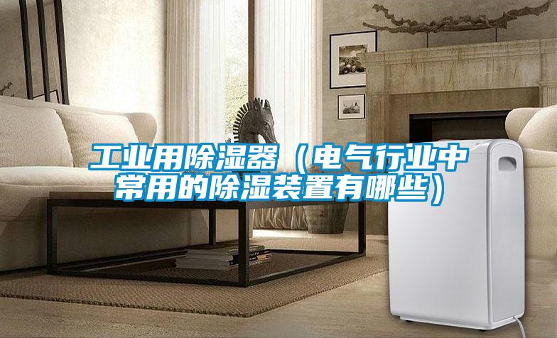 工业用除湿器(电气行业中常用的除湿装置有哪些)
