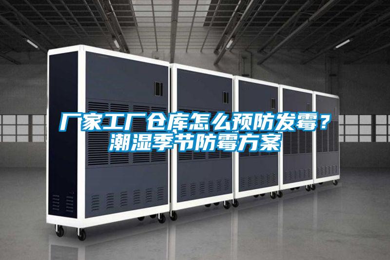 厂家工厂仓库怎么预防发霉？潮湿季节防霉方案