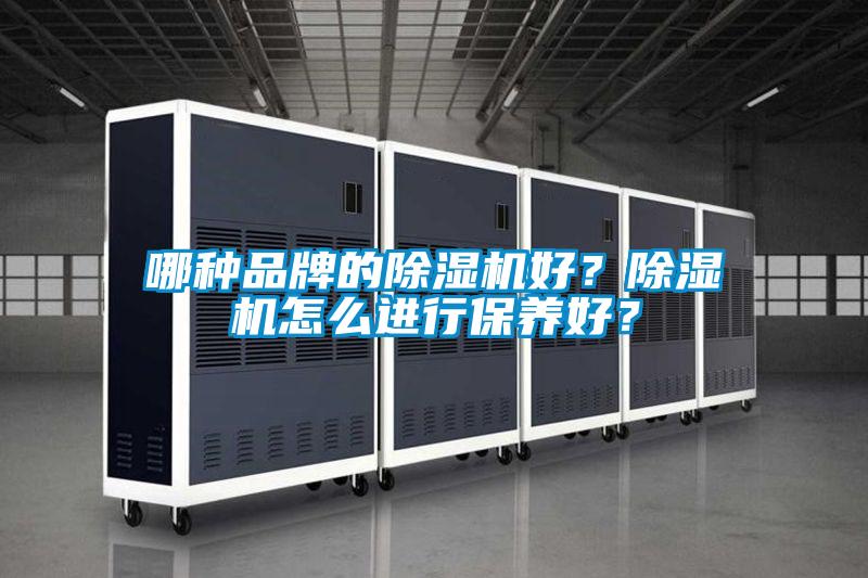 哪种品牌的精品一区二区三区水蜜桃好？精品一区二区三区水蜜桃怎么进行保养好？