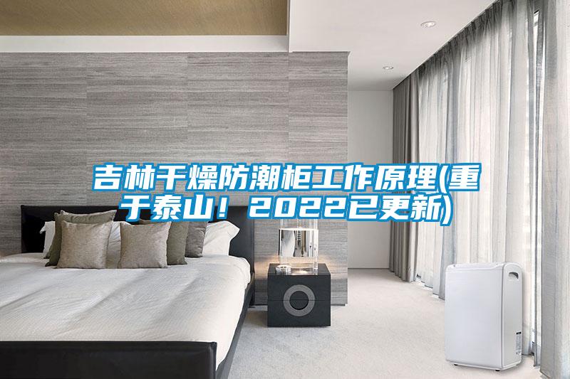 吉林干燥防潮柜工作原理(重于泰山！2022已更新)