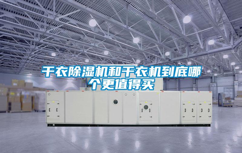 干衣精品一区二区三区水蜜桃和干衣机到底哪个更值得买